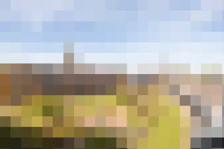 Hof van den Houte 142 Etten-Leur thumbnail 31