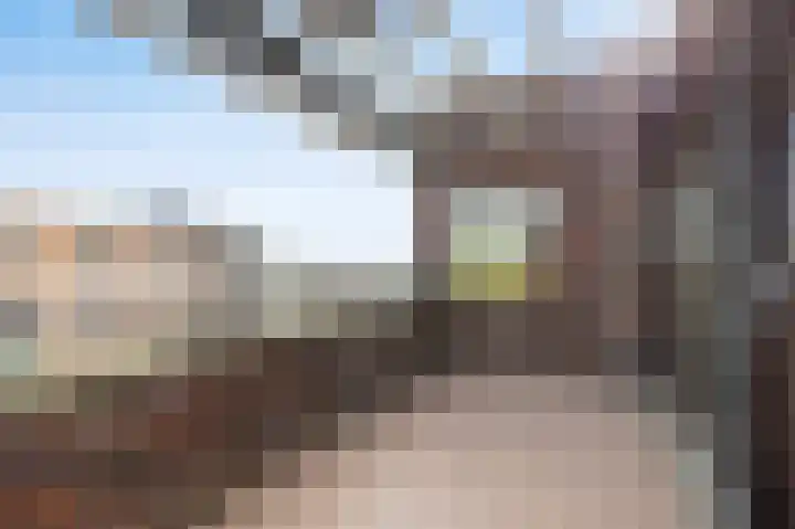 Hof van den Houte 142 Etten-Leur thumbnail 4