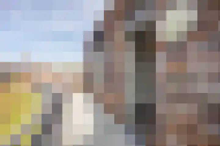 Hof van den Houte 142 Etten-Leur thumbnail 8