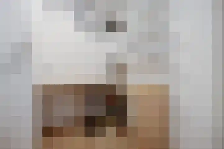 Hof van den Houte 155 Etten-Leur thumbnail 21