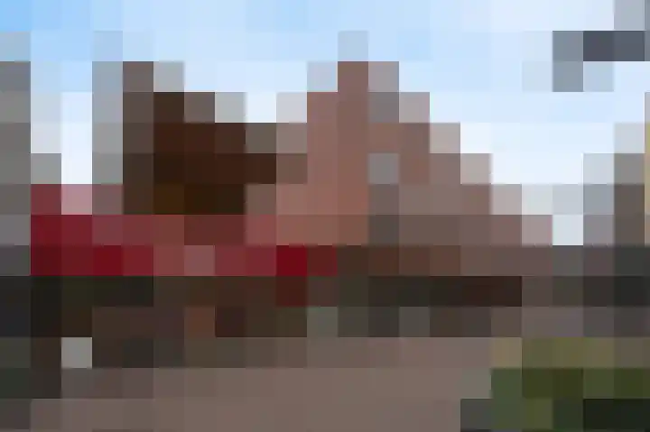 Hof van den Houte 155 Etten-Leur thumbnail 31