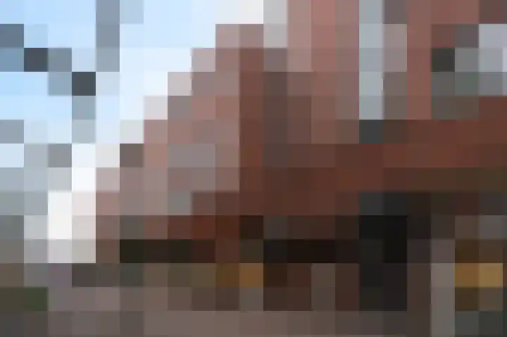 Hof van den Houte 155 Etten-Leur thumbnail 5