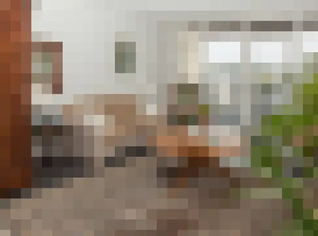 Hof van den Houte 54 Etten-Leur thumbnail 15