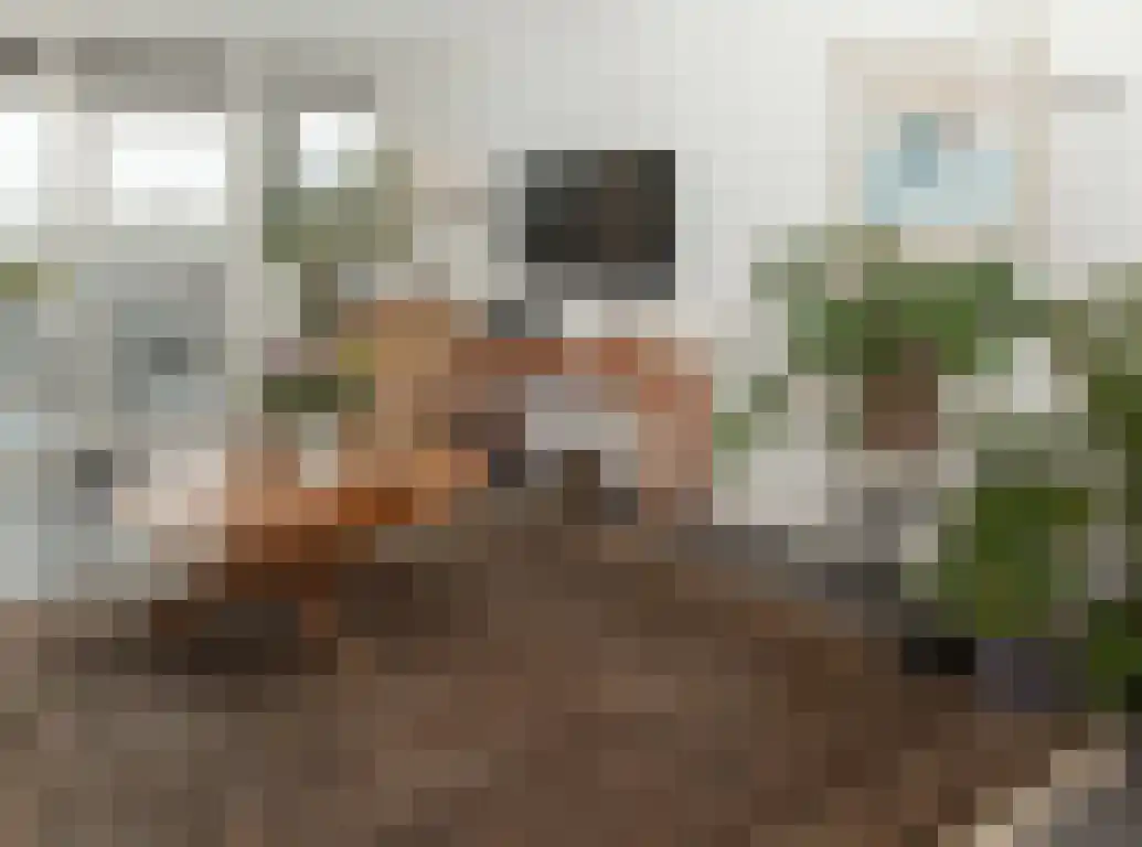 Hof van den Houte 54 Etten-Leur thumbnail 19