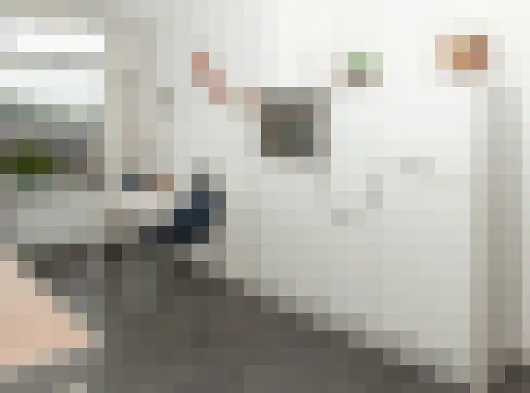 Hof van den Houte 54 Etten-Leur thumbnail 23