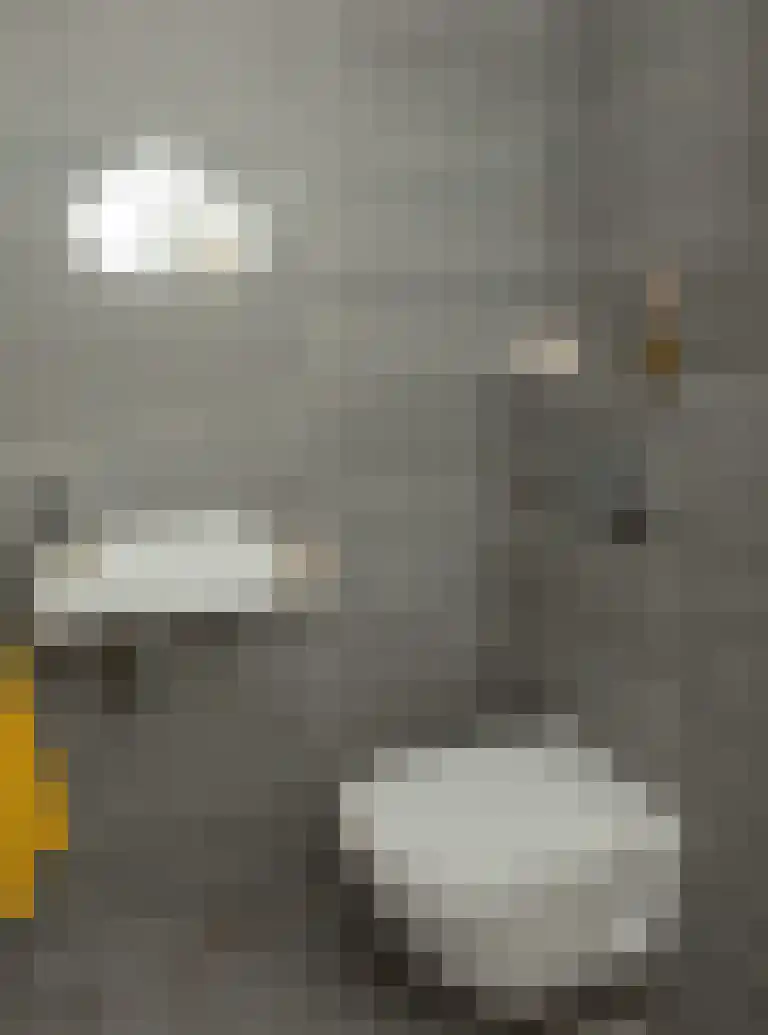 Hof van den Houte 54 Etten-Leur thumbnail 24