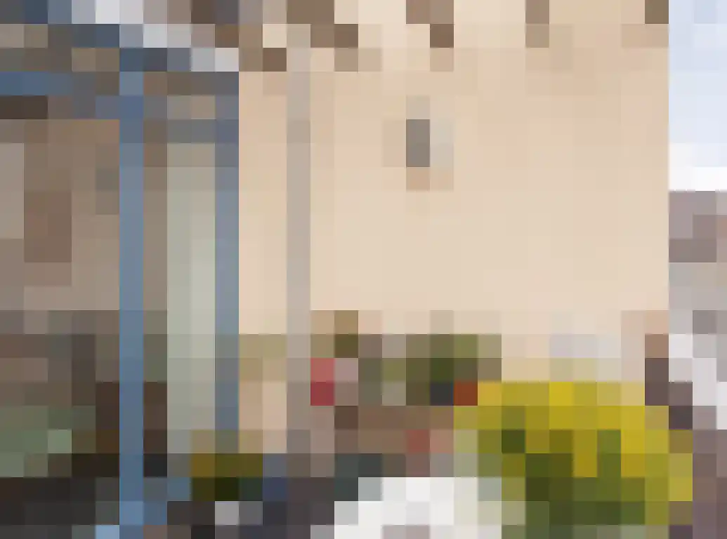 Hof van den Houte 54 Etten-Leur thumbnail 35