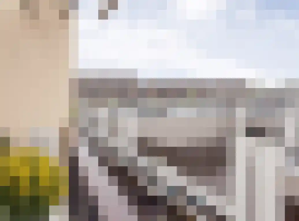 Hof van den Houte 54 Etten-Leur thumbnail 36