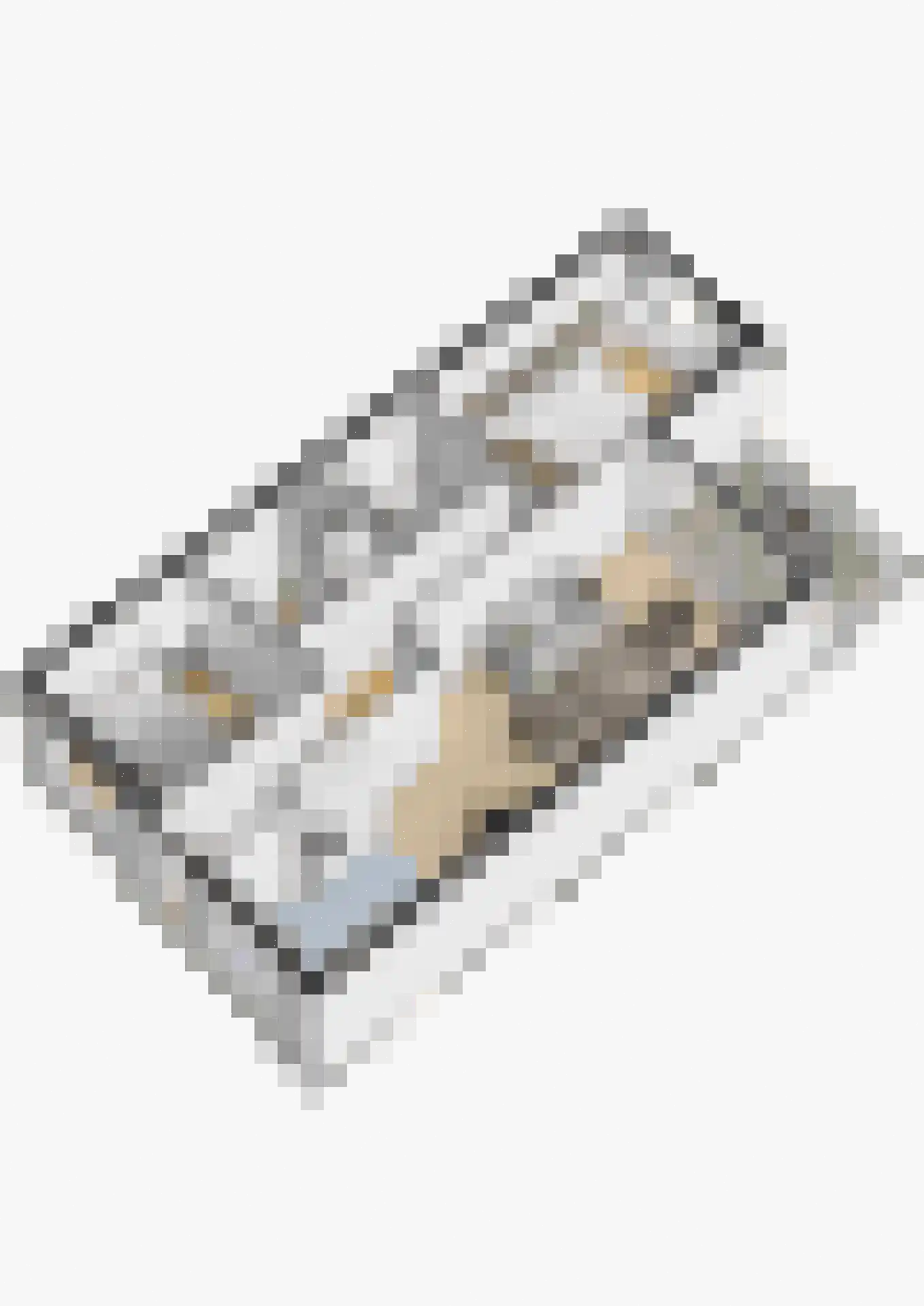 Hof van den Houte 54 Etten-Leur thumbnail 41