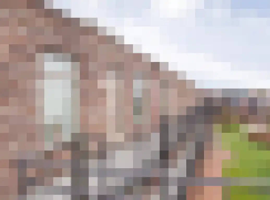 Hof van den Houte 54 Etten-Leur thumbnail 9
