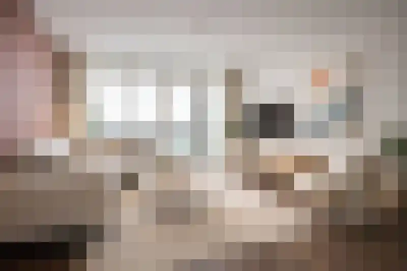 Hof van den Houte 58 Etten-Leur thumbnail 12
