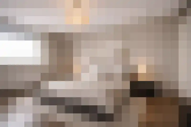 Hof van den Houte 58 Etten-Leur thumbnail 26