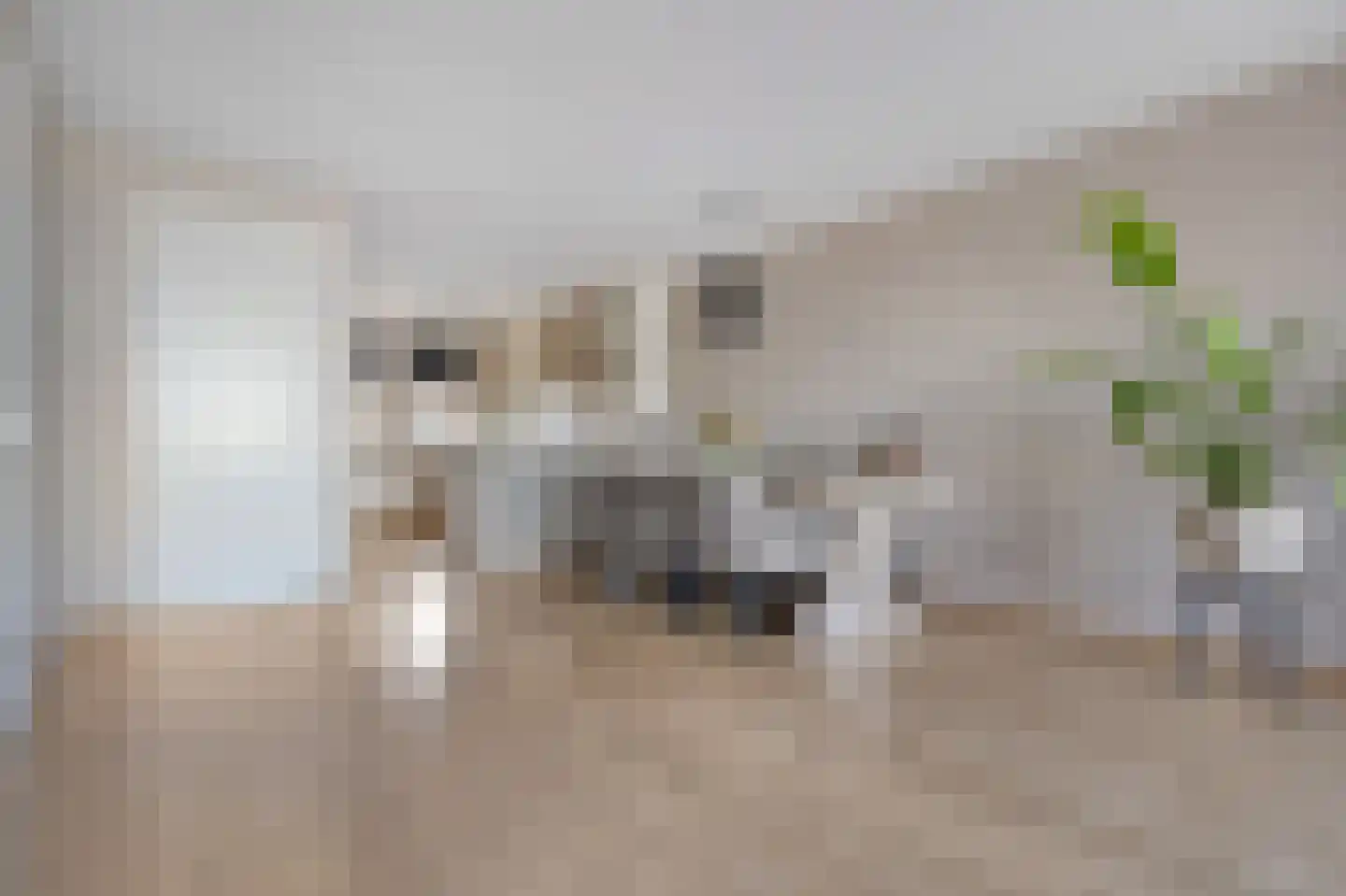 Hof van Duivenvoorde 14 Nootdorp thumbnail 16