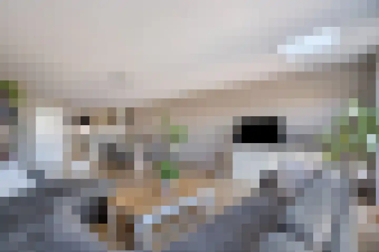 Hof van Duivenvoorde 14 Nootdorp thumbnail 18