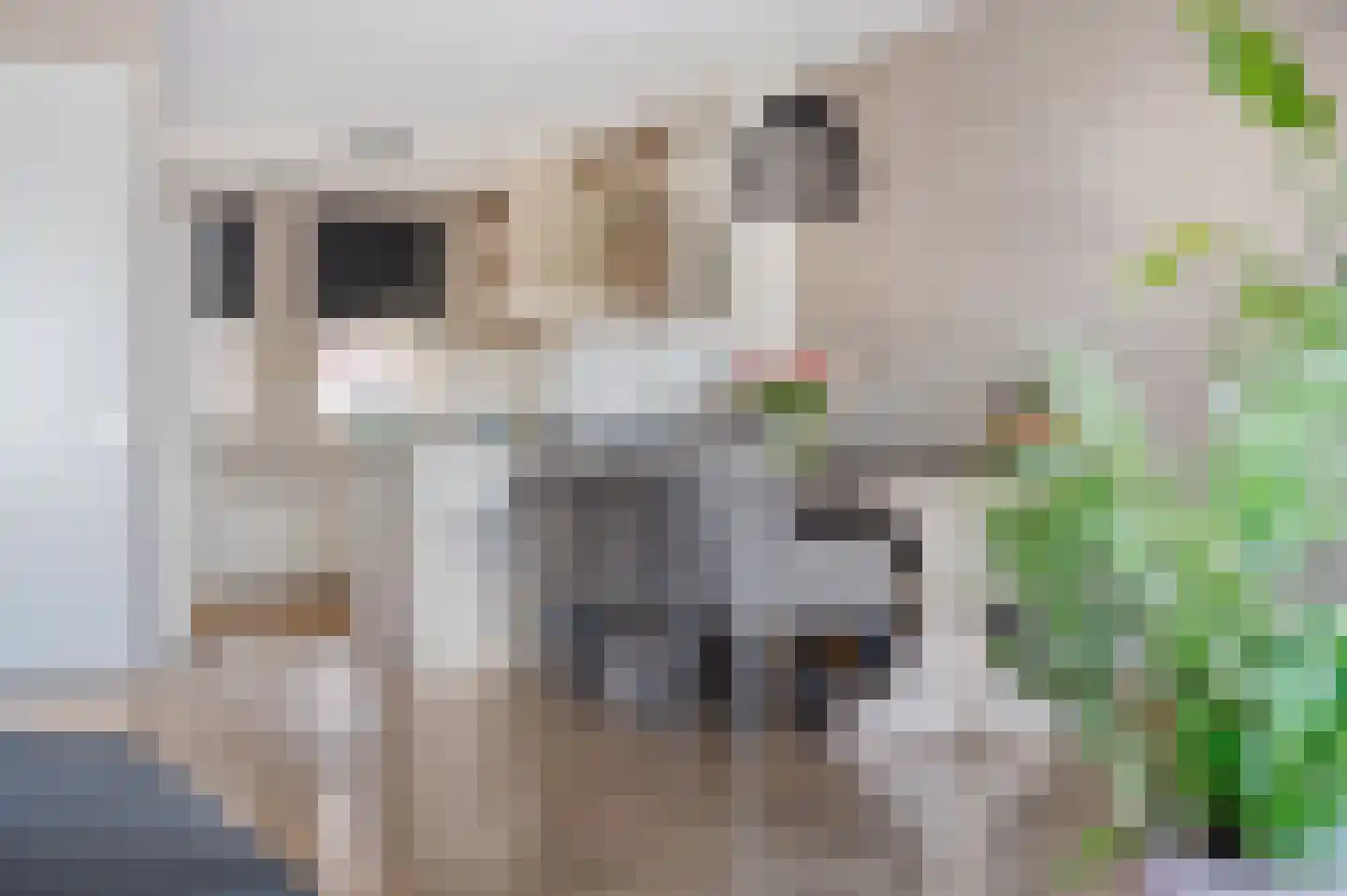 Hof van Duivenvoorde 14 Nootdorp thumbnail 4