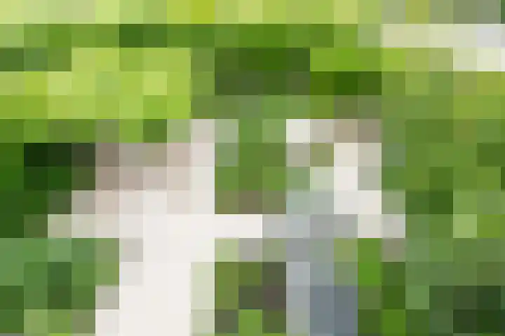 Hof van Duivenvoorde 5 Nootdorp thumbnail 35