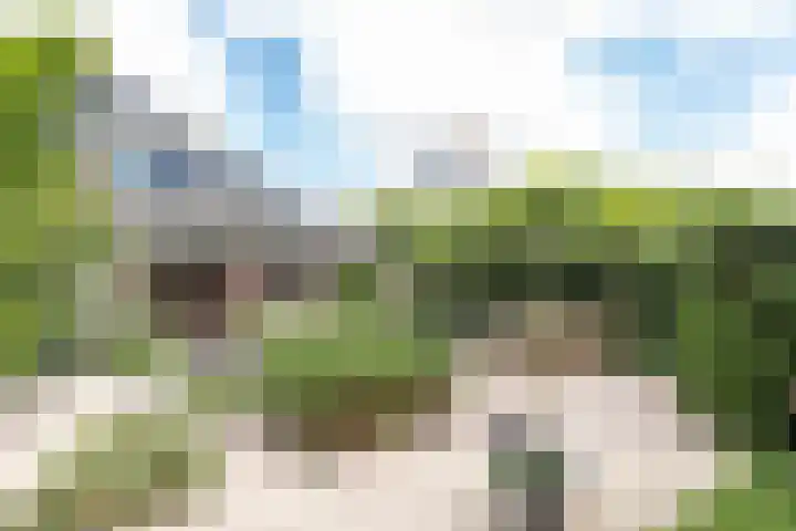 Hof van Duivenvoorde 5 Nootdorp thumbnail 7