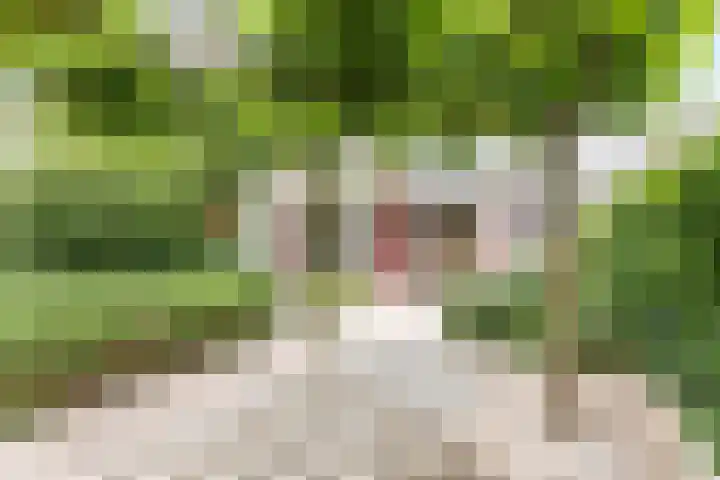 Hof van Duivenvoorde 5 Nootdorp thumbnail 8