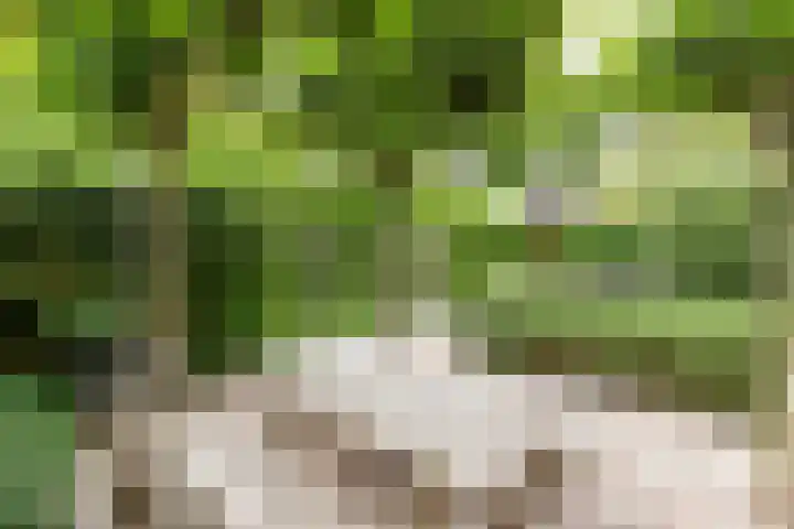 Hof van Duivenvoorde 5 Nootdorp thumbnail 9