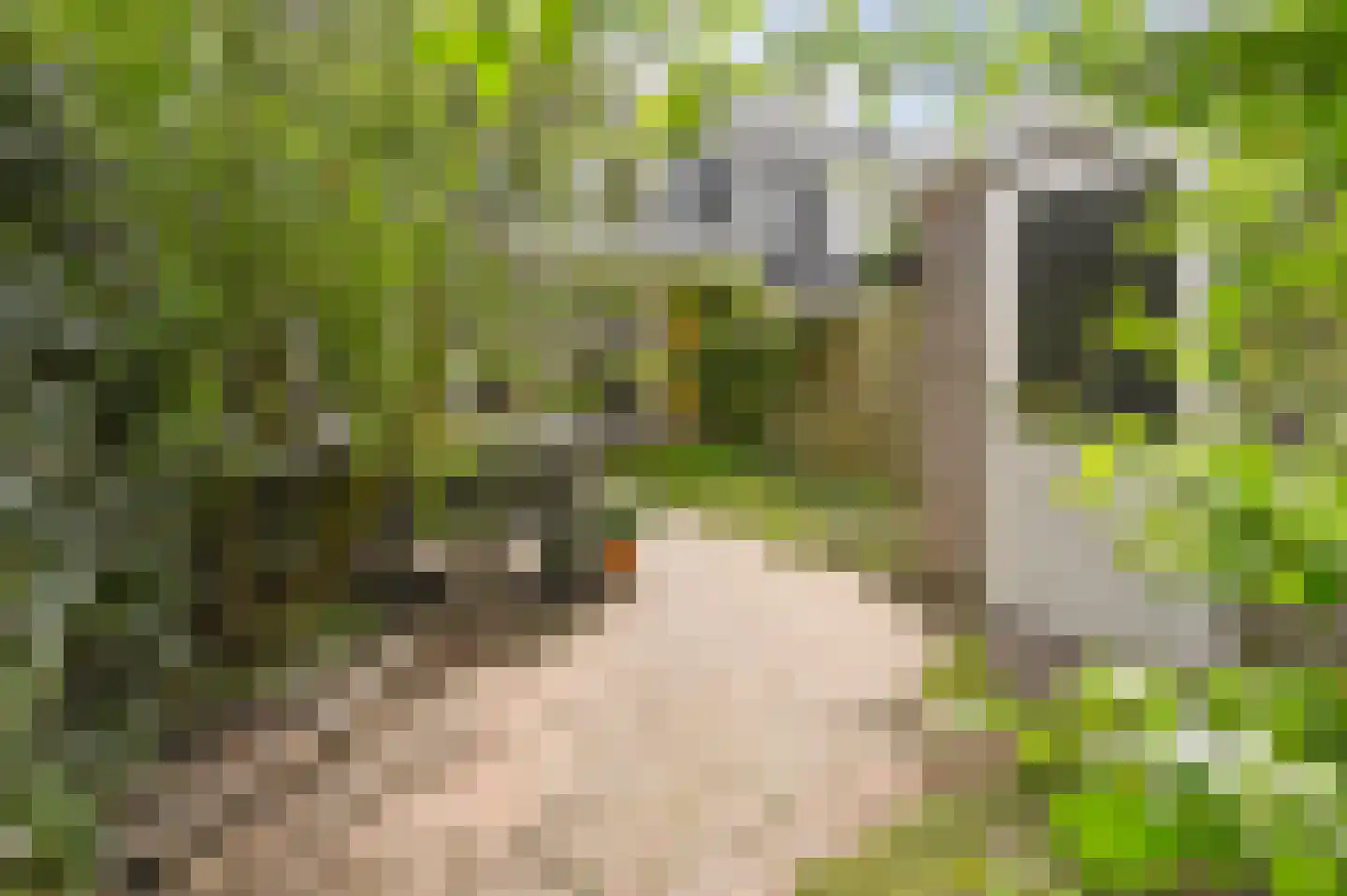 Hof van Duivenvoorde 9 Nootdorp thumbnail 11