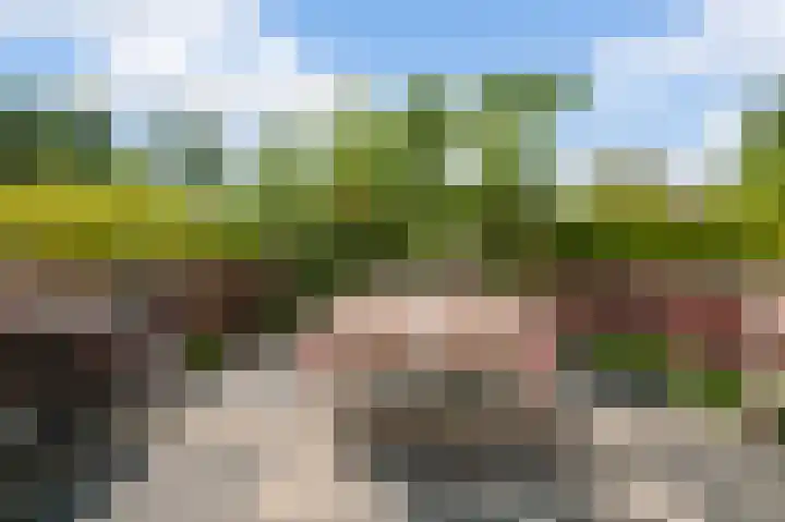 Hof van Eden 2 Amsterdam thumbnail 15