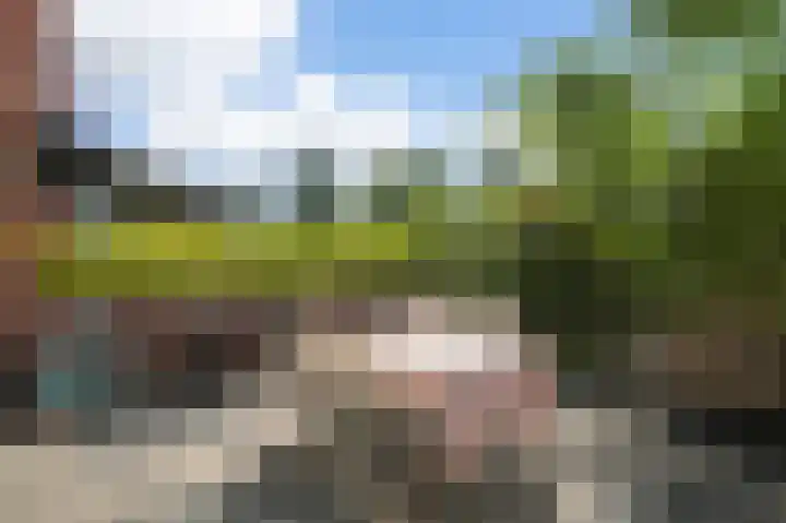 Hof van Eden 2 Amsterdam thumbnail 16