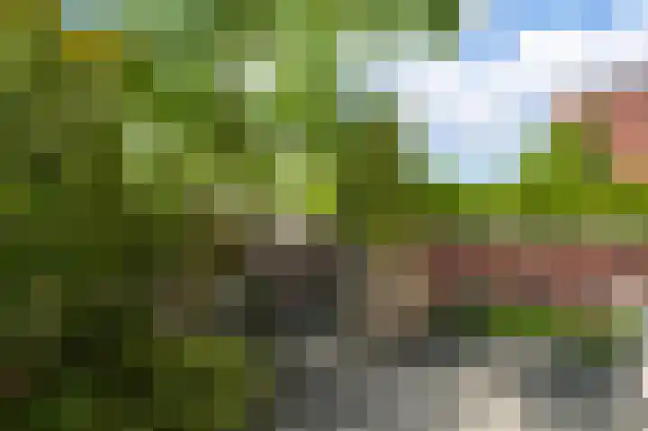 Hof van Eden 2 Amsterdam thumbnail 18