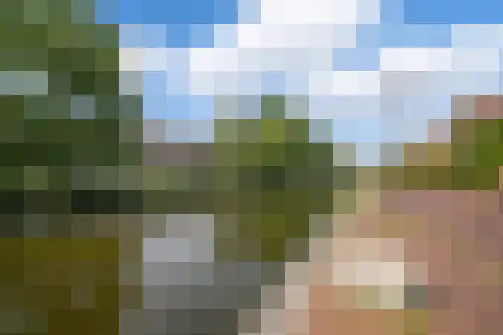 Hof van Eden 2 Amsterdam thumbnail 20