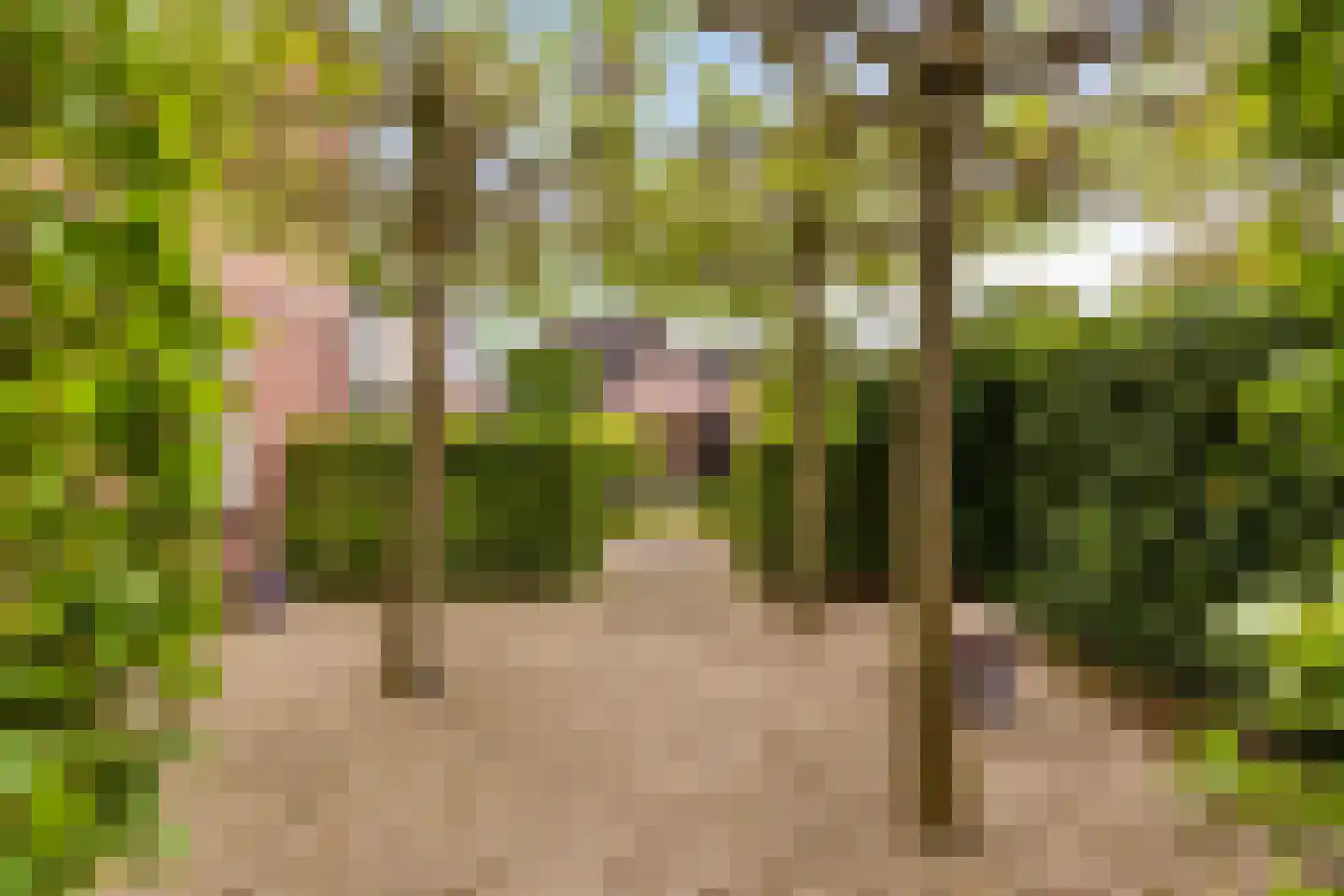 Hof van Edenlaan 1 Drachten thumbnail 27