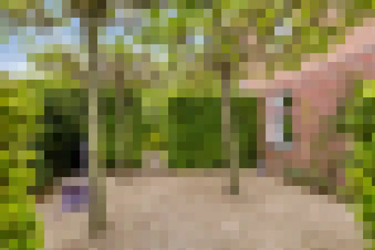 Hof van Edenlaan 1 Drachten thumbnail 28