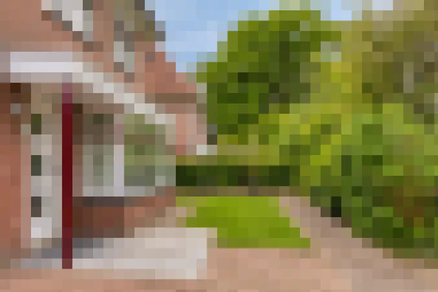 Hof van Edenlaan 1 Drachten thumbnail 30