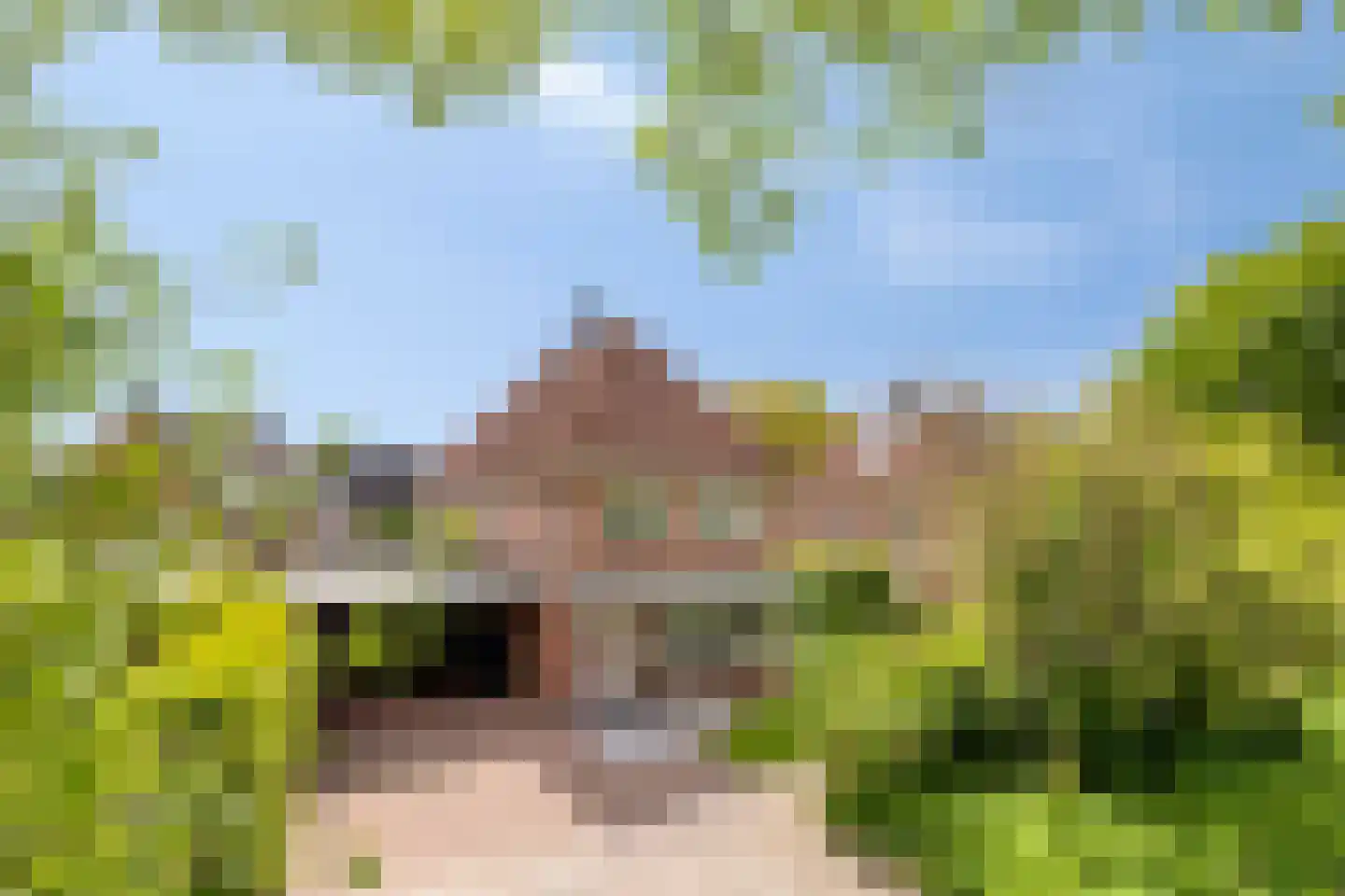 Hof van Edenlaan 1 Drachten thumbnail 36