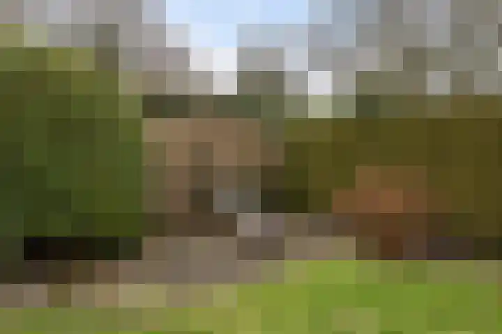 Hof van Edenlaan 22 a Drachten thumbnail 38