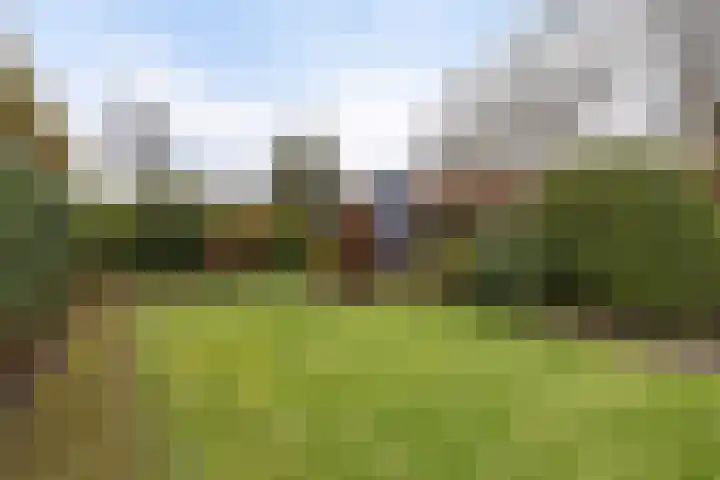 Hof van Edenlaan 22 a Drachten thumbnail 40