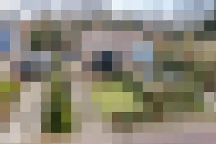Hof van Edenlaan 22 a Drachten thumbnail 43