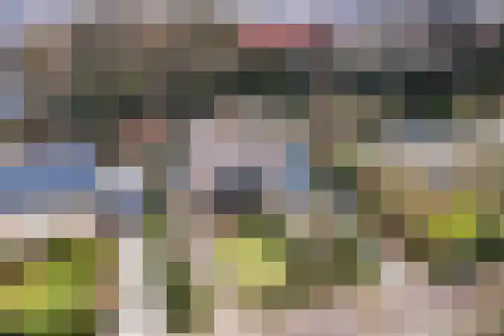 Hof van Edenlaan 22 a Drachten thumbnail 45