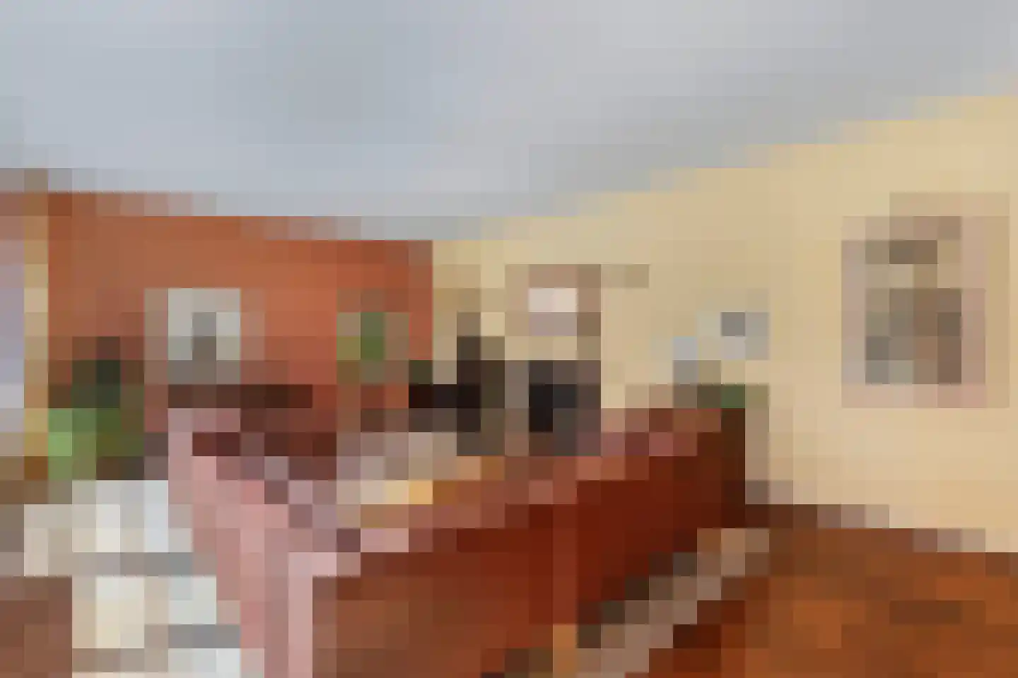Hof van Edenlaan 5 Drachten thumbnail 15