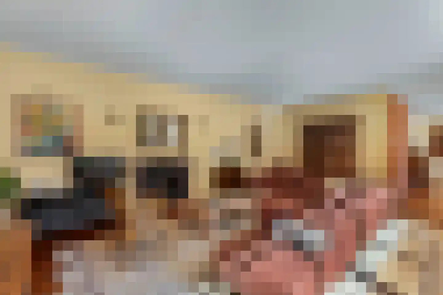 Hof van Edenlaan 5 Drachten thumbnail 17