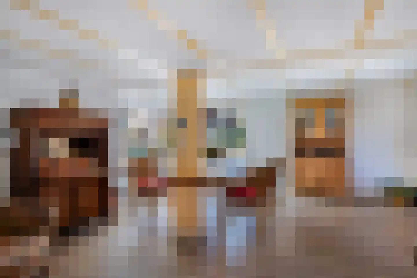 Hof van Edenlaan 5 Drachten thumbnail 23
