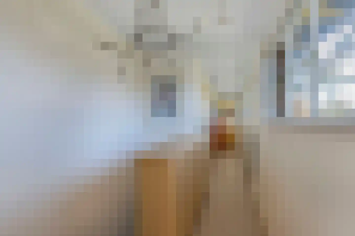 Hof van Edenlaan 5 Drachten thumbnail 28