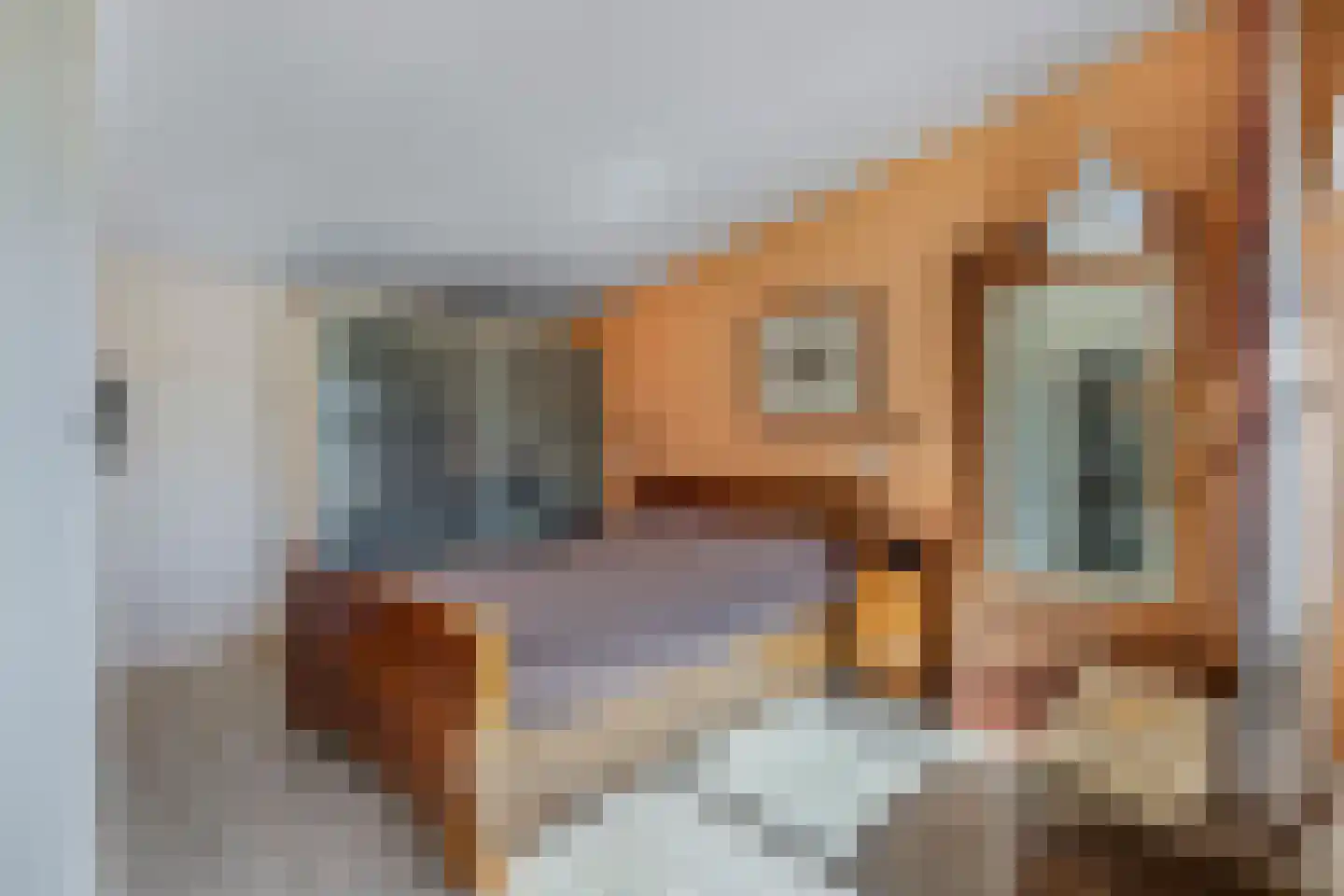 Hof van Edenlaan 5 Drachten thumbnail 29