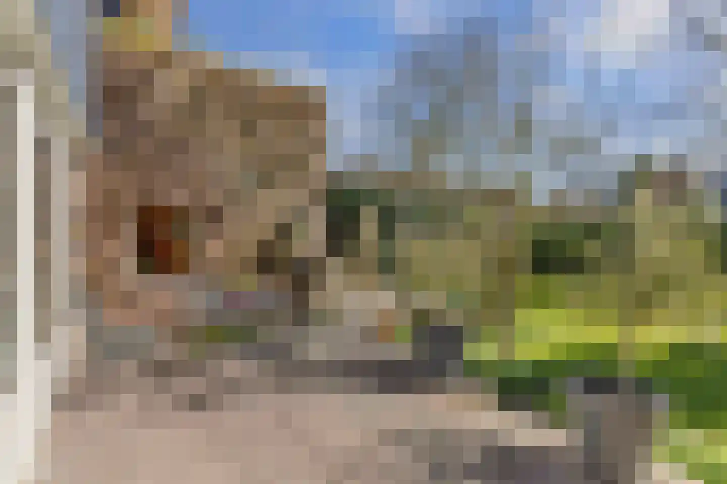 Hof van Edenlaan 5 Drachten thumbnail 50