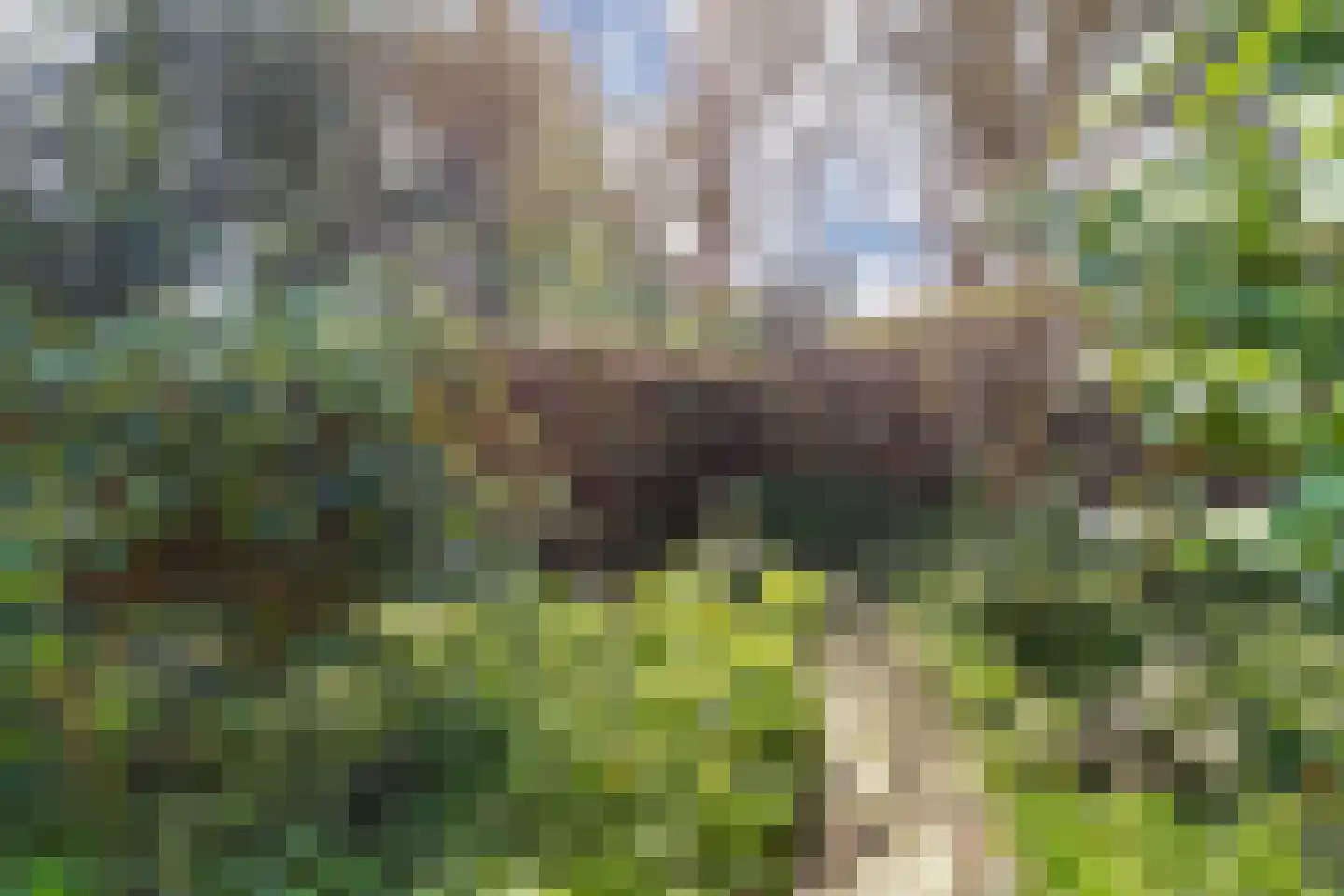 Hof van Edenlaan 5 Drachten thumbnail 55