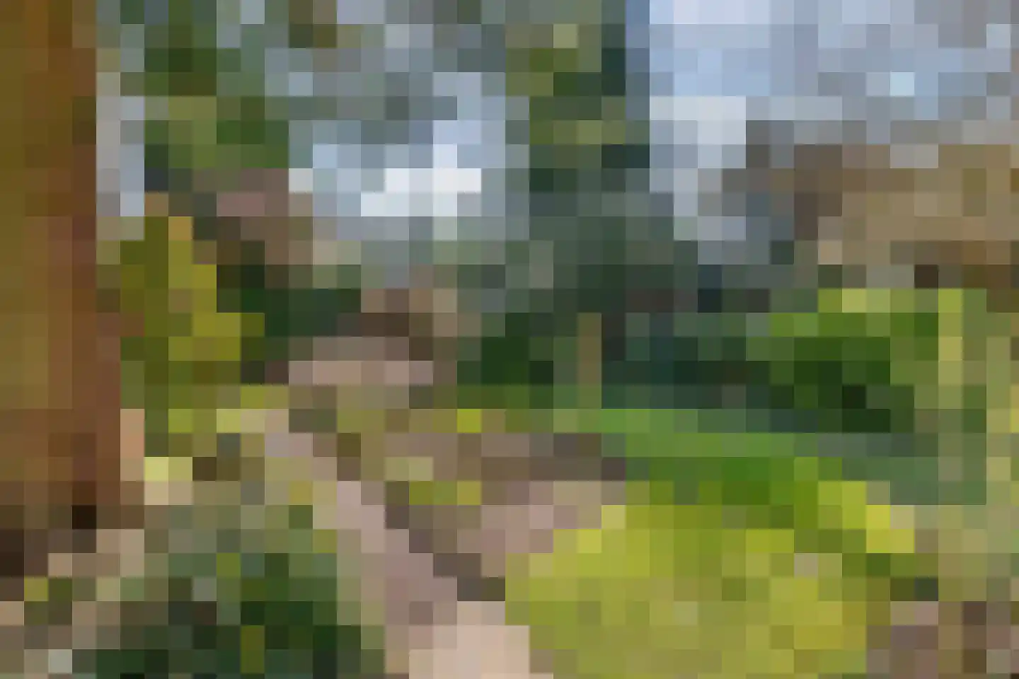 Hof van Edenlaan 5 Drachten thumbnail 60