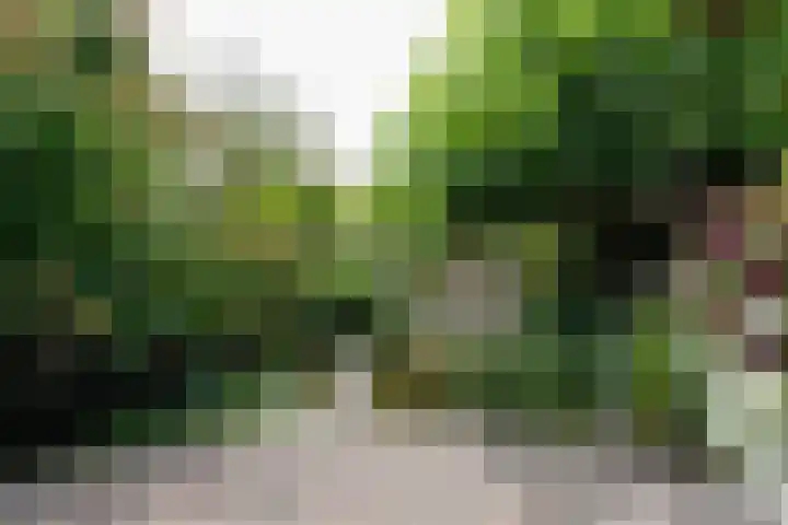 Hof van Edinburgh 13 Doetinchem thumbnail 29