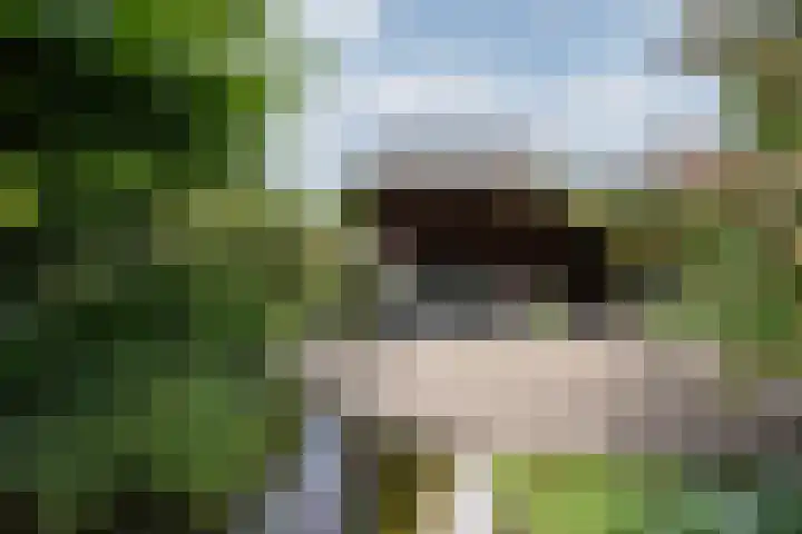 Hof van Edinburgh 13 Doetinchem thumbnail 31