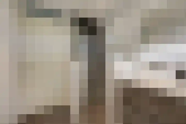 Hof van Edinburgh 13 Doetinchem thumbnail 47