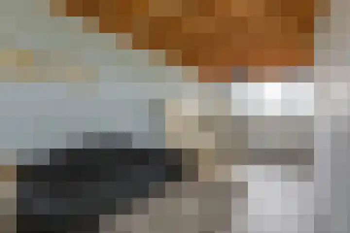 Hof van Edinburgh 13 Doetinchem thumbnail 61