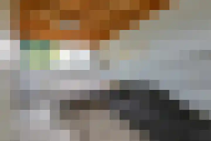 Hof van Edinburgh 13 Doetinchem thumbnail 63