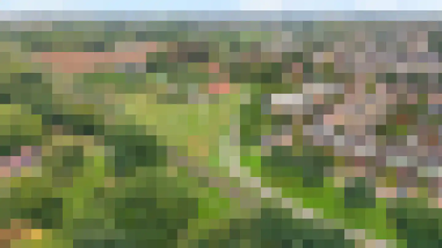 Hof van Edinburgh 19 Doetinchem thumbnail 54